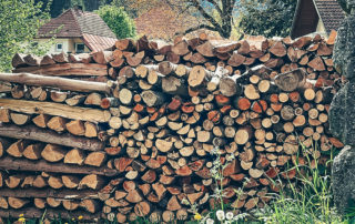 High-quality softwood firewood