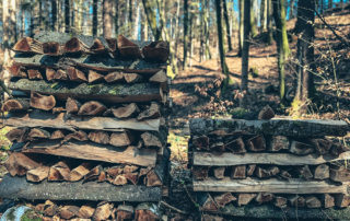 Stack of firewood