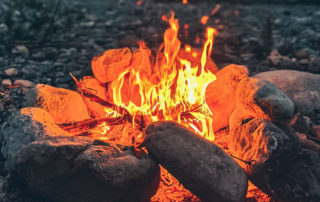 reasons to burn firewood: sustainable heat source