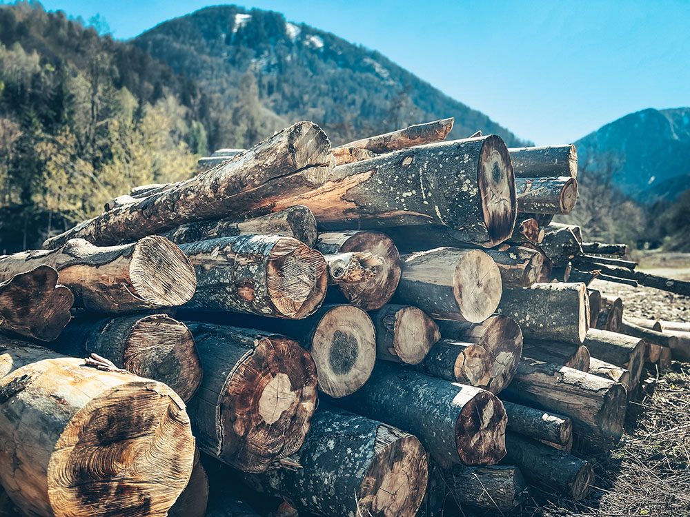 3 Tips to Prepare for Winter in Montana Flathead Father N’ Son