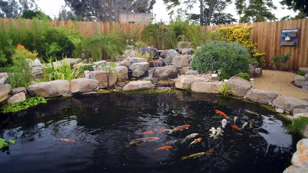 Bringing Nature to Your Backyard with Precision