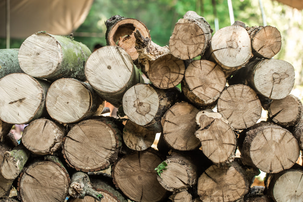 Firewood By Cord